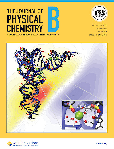 Cover: Magnesium contact ions stabilize the tertiary structure of transfer RNA: electrostatics mapped by two-dimensional infrared spectra and theoretical simulations