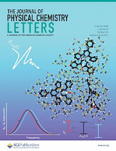 Cover: Transient terahertz stark effect: a dynamic probe of electric interactions in polar liquids